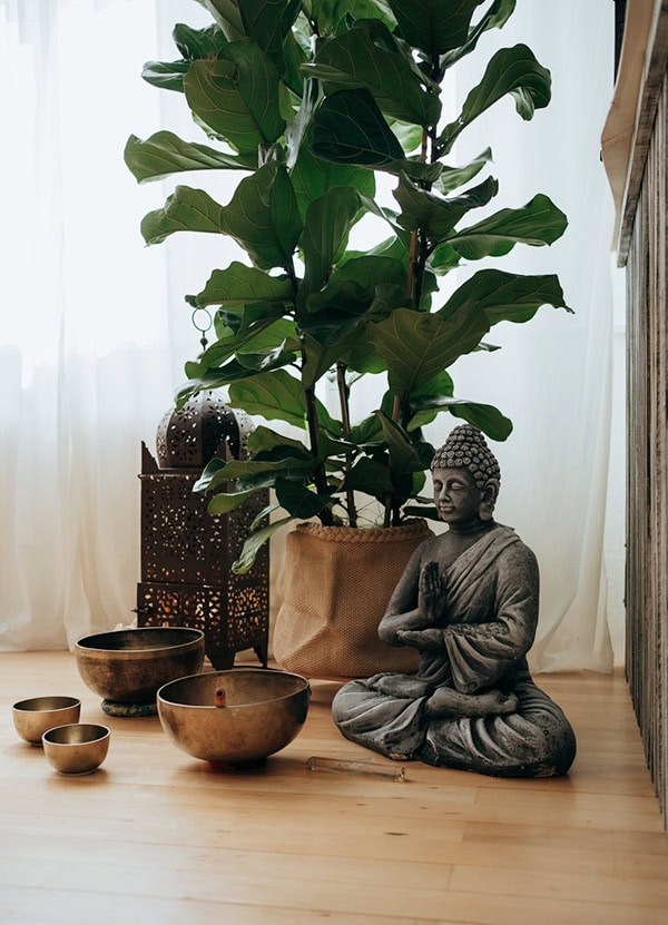 gesundheitspraxis sarton meditation
